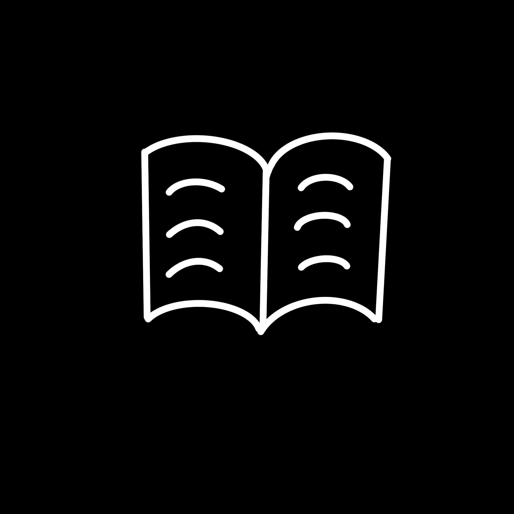 p-novel